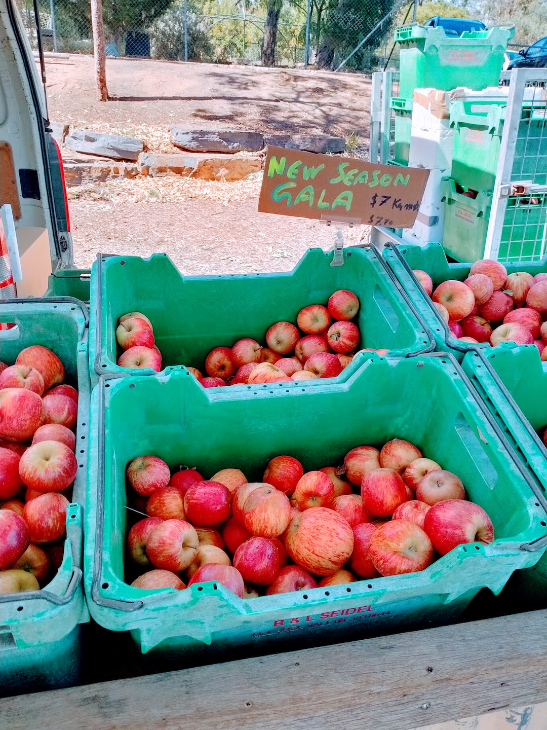 Things To Do South Australia - McLaren Vale Market